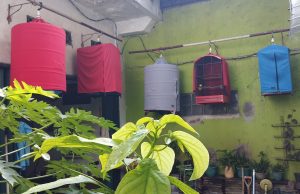 Isi Waktu Liburan Lebaran lewat Hobi Pelihara Burung